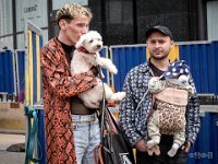 MaS-267  Gay Pride 2024 BXL